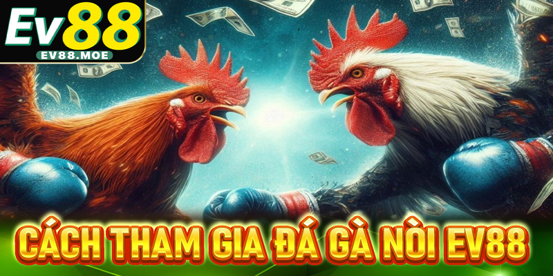 Hướng dẫn tham gia sảnh đá gà nòi tại nhà cái EV88