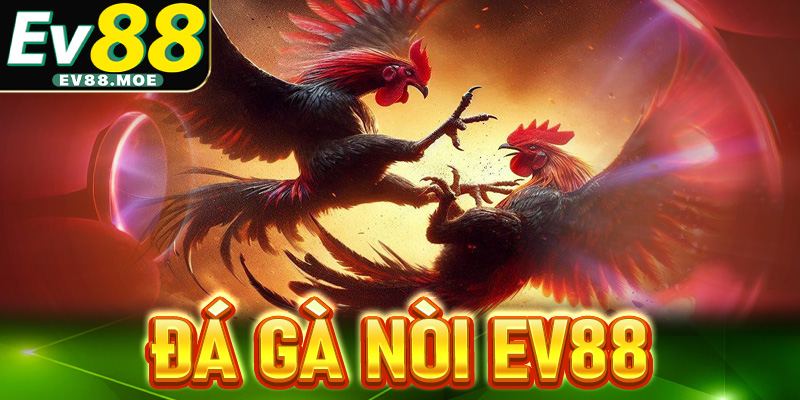 đá gà nòi EV88